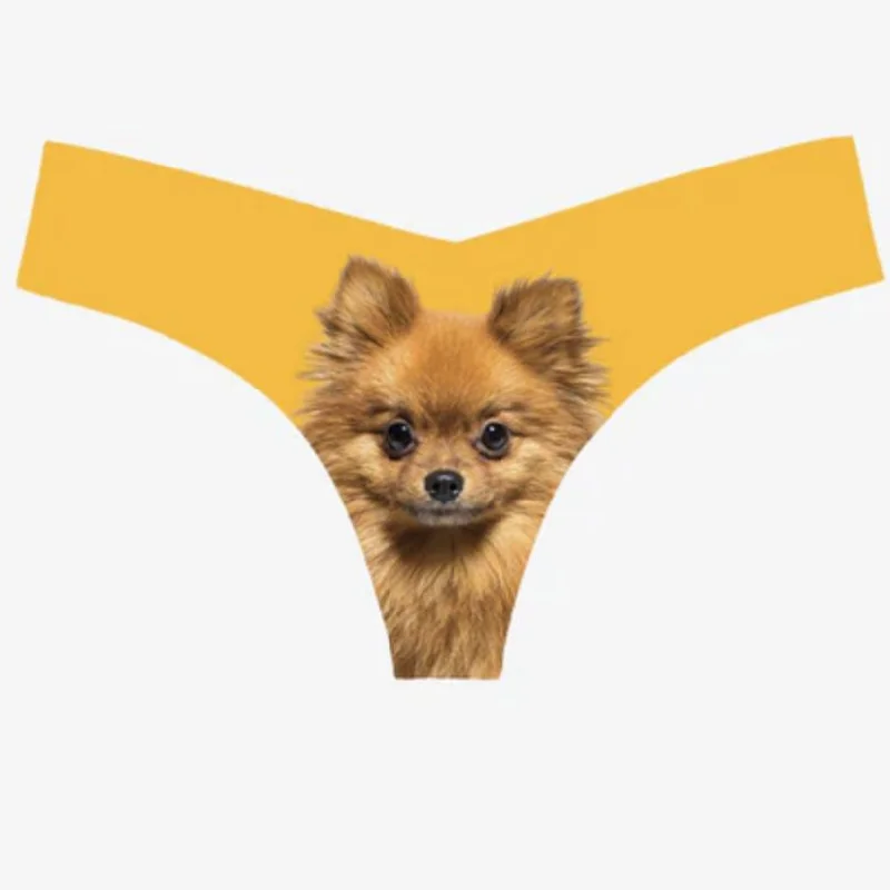 soft microfiber underwear-Commando Photo-Op Thong Pomeranian CT18